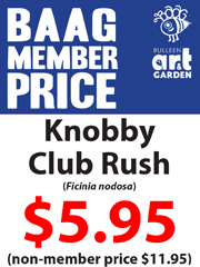 BAAG Member Prices