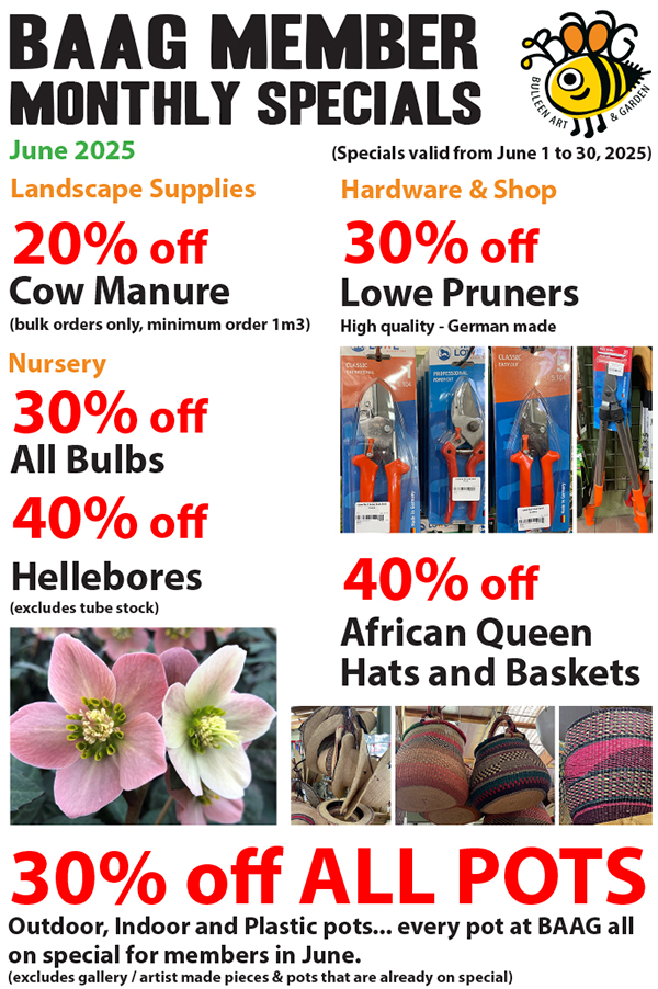 BAAG Member Specials