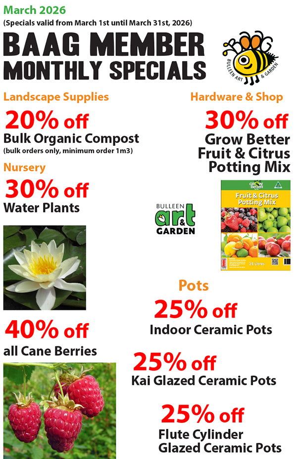 BAAG Member Specials