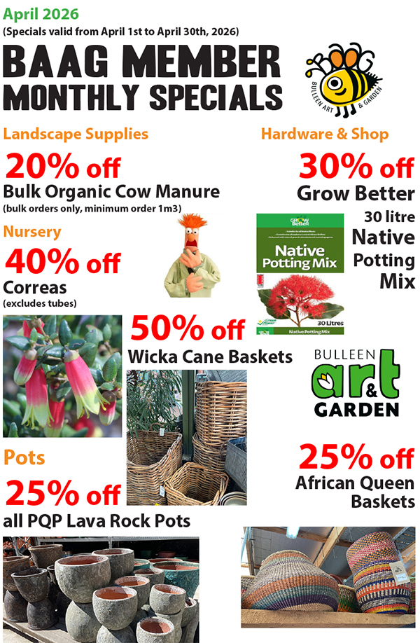 BAAG Member Specials