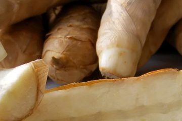 Arrowroot