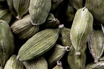 Cardamom