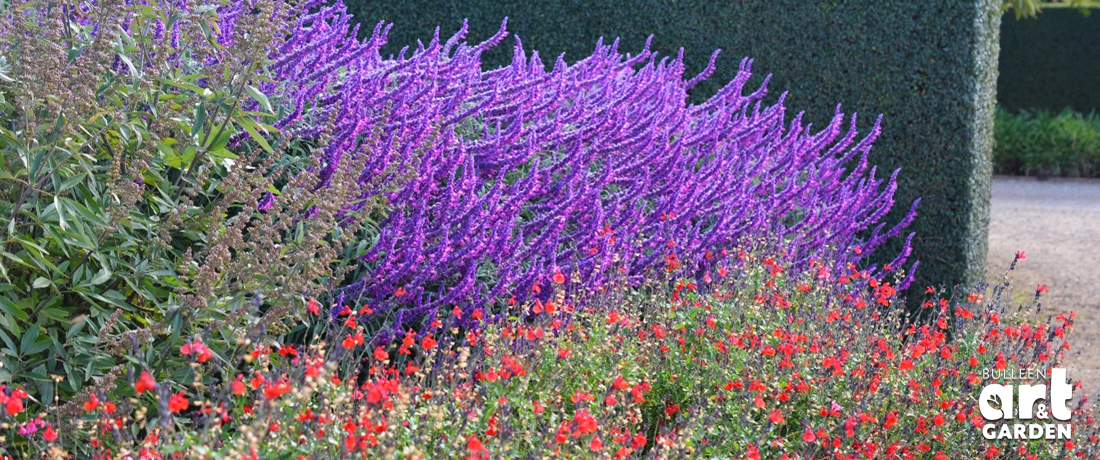 Photo © Bulleen Art & Garden