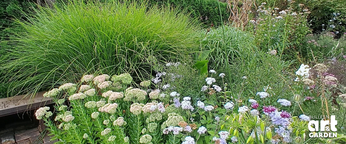 Photo © Bulleen Art & Garden