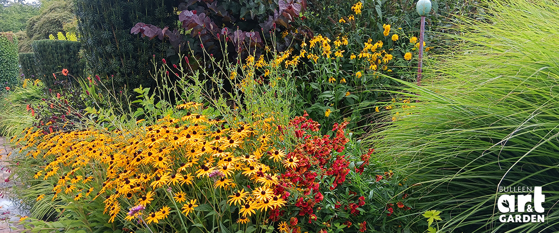Photo © Bulleen Art & Garden