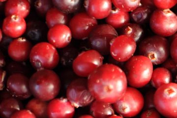 Cranberries