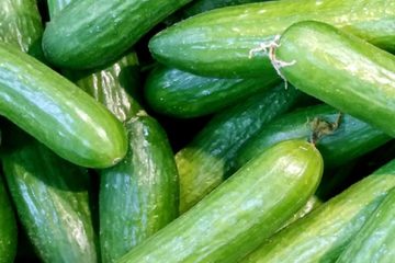 Cucumbers