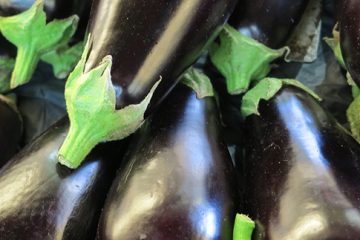 Eggplant