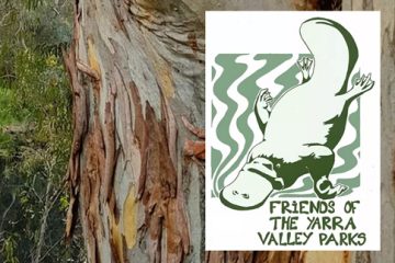 Friends of the Yarra Valley Parks