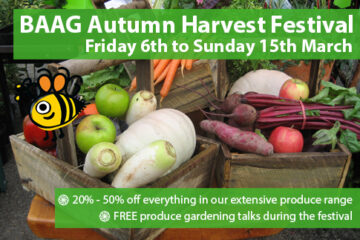 Autumn Harvest Festival – Fri 6th to Sun 15th March