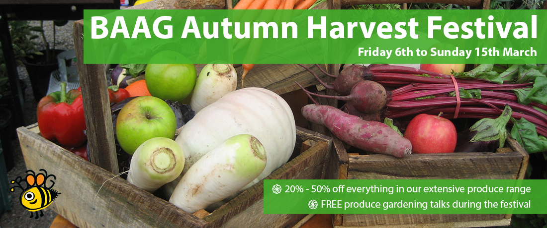 Photo © Bulleen Art & Garden