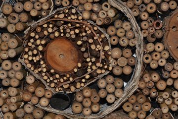 Insect Hotels