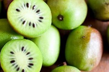 Kiwi Berry