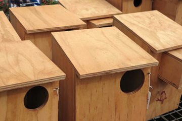 Nestboxes