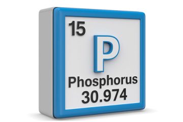 Phosphorus and Australian Native plants