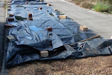 Renovating Nature Strips