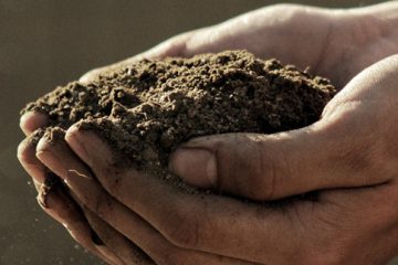 Soil Health