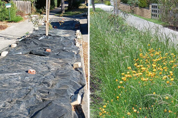 Renovating Nature Strips