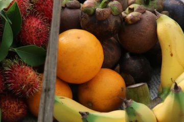 Tropical Fruit in Melbourne