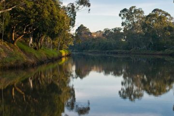 Protecting the Yarra – how you can get involved